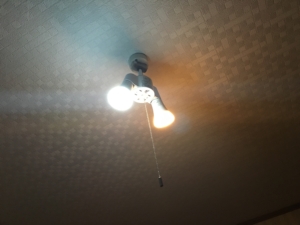 Philips hue レビュー 電球