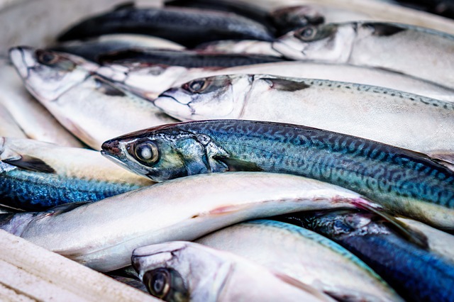 魚　食品　総死亡リスク　健康