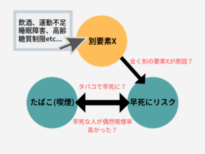 相関関係　因果関係　図