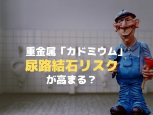 重金属　カドミウム　尿路結石