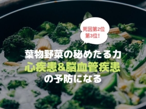葉物野菜 アブラナ科 心疾患 脳血管疾患 予防