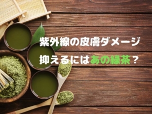 緑茶 紫外線 皮膚 抗酸化 EGCG