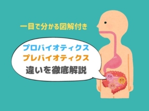 【図解】プロバイオティクスとプレバイオティクスの違いとは？