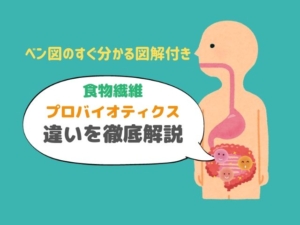 食物繊維とプレバイオティクスの違いとは？