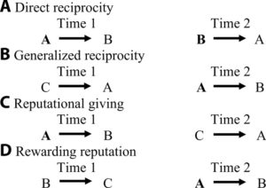 【施されたら施し返す...恩返し？】人は見返りに関係なく他人に親切を施せるみたいだ